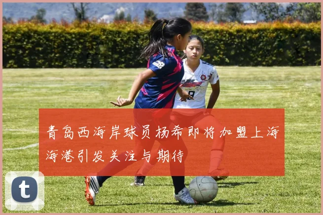 青岛西海岸球员杨希即将加盟上海海港引发关注与期待