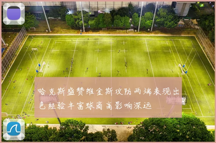 哈克斯盛赞维金斯攻防两端表现出色经验丰富球商高影响深远