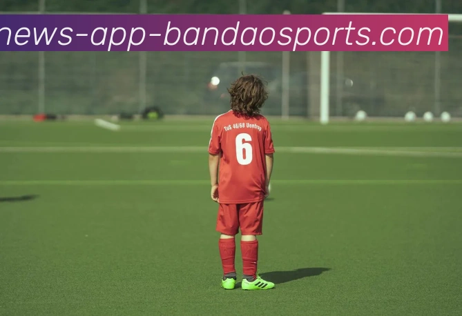 半岛体育平台生态图